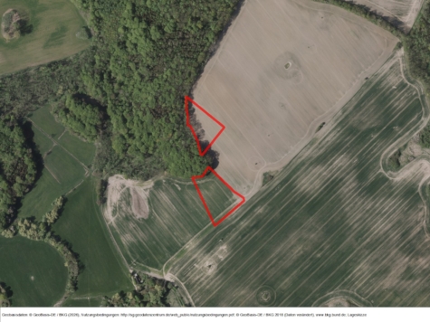 Zarnekow – Ackerlos 1 (Am Wald), Mecklenburg-Vorpommern, Nordwestmecklenburg