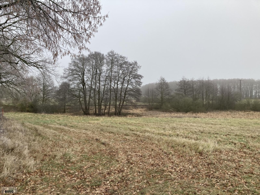 Landwirtschaftsfläche - Gemarkung Neu Damerow - Bild
