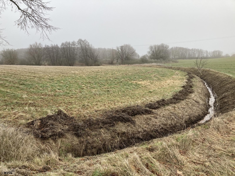 Landwirtschaftsfläche - Gemarkung Neu Damerow - Bild