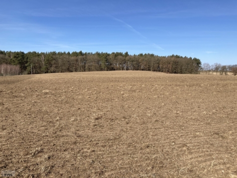 Flächen bei Lentschow, Los 4, Mecklenburg-Vorpommern, Vorpommern-Greifswald