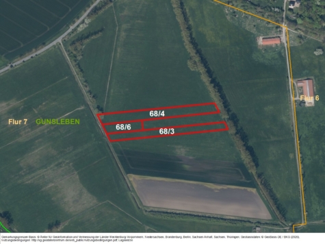 Grünland bei Gunsleben, Flur 7, Sachsen-Anhalt, Börde
