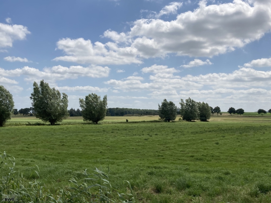 Flächen bei Lansen, Los 2 - Bild