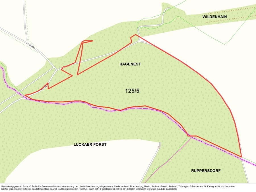 Kleinwald nahe des Haselbacher Sees - Bild