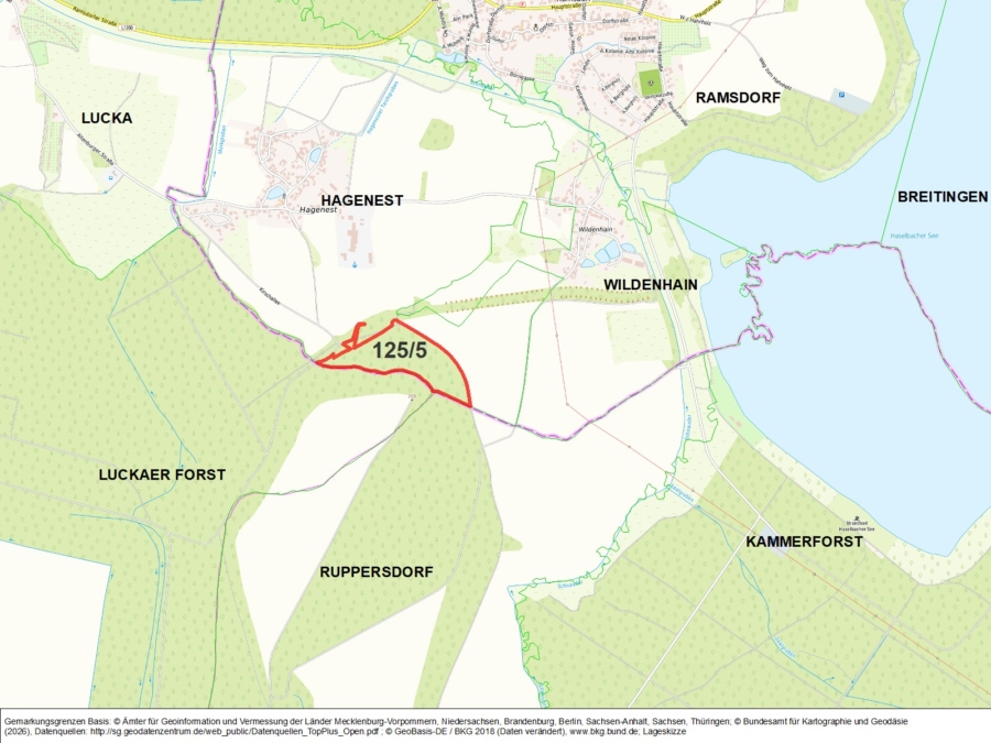Kleinwald nahe des Haselbacher Sees - Bild