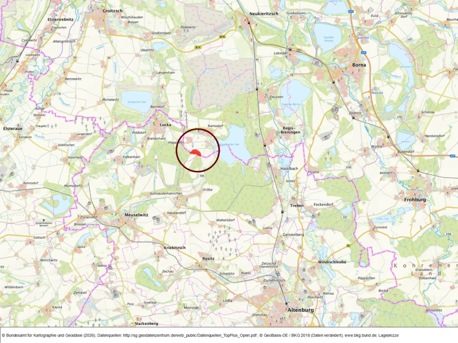 Kleinwald nahe des Haselbacher Sees - Bild
