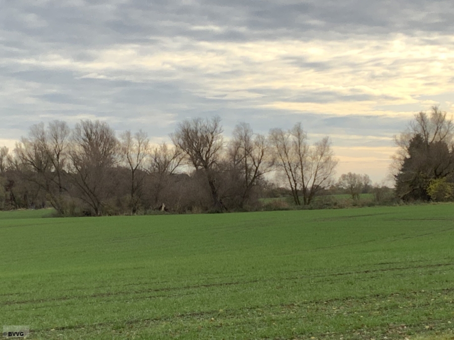 Fläche bei Rossow - Titelbild