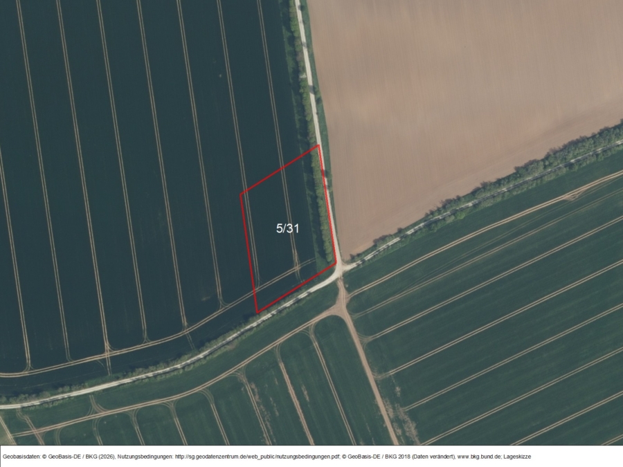 Vitzenburg-Landwirtschaft - Bild