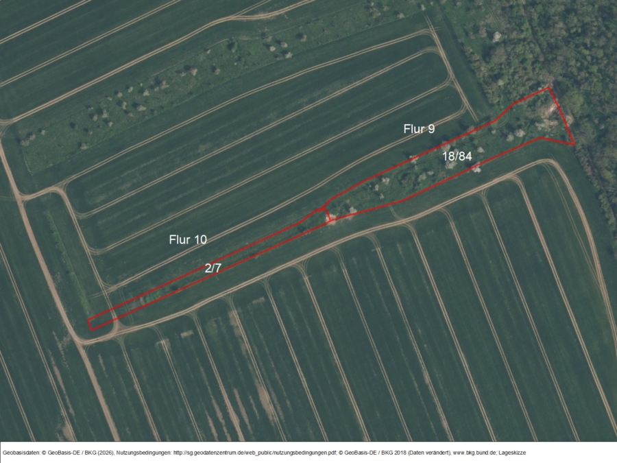 Vitzenburg-Landwirtschaft - Bild