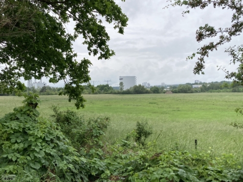 Flächen bei Neubrandenburg, Los 2, Mecklenburg-Vorpommern, Mecklenburgische Seenplatte