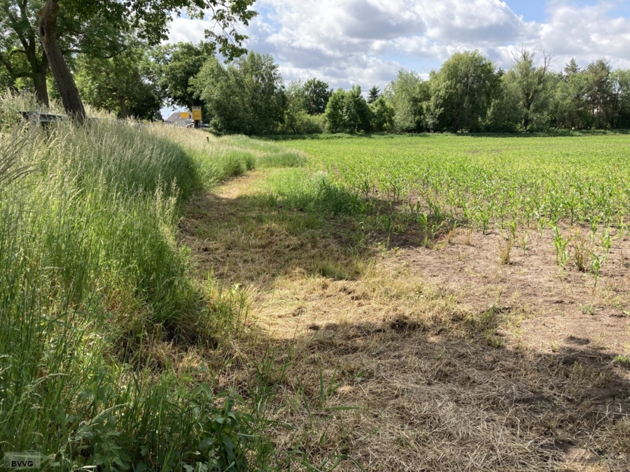 Flächen bei Ziethen - Bild