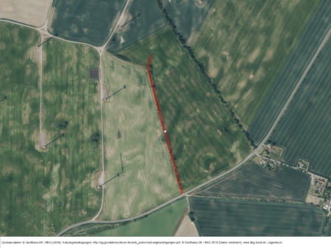 Fläche in Krackow, Mecklenburg-Vorpommern, Vorpommern-Greifswald