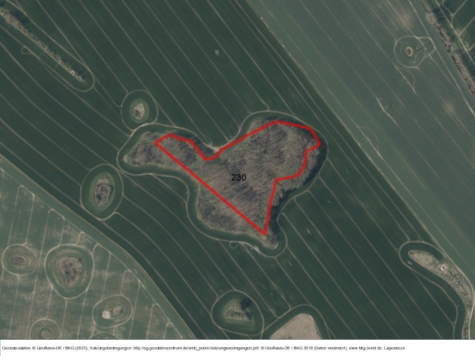 Miteigentumsanteil in Wildberg, Mecklenburg-Vorpommern, Mecklenburgische Seenplatte