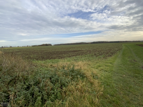 Fläche bei Beseritz, Los 1, Mecklenburg-Vorpommern, Mecklenburgische Seenplatte