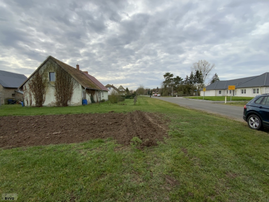 Fläche bei Beseritz, Los 1 - Bild