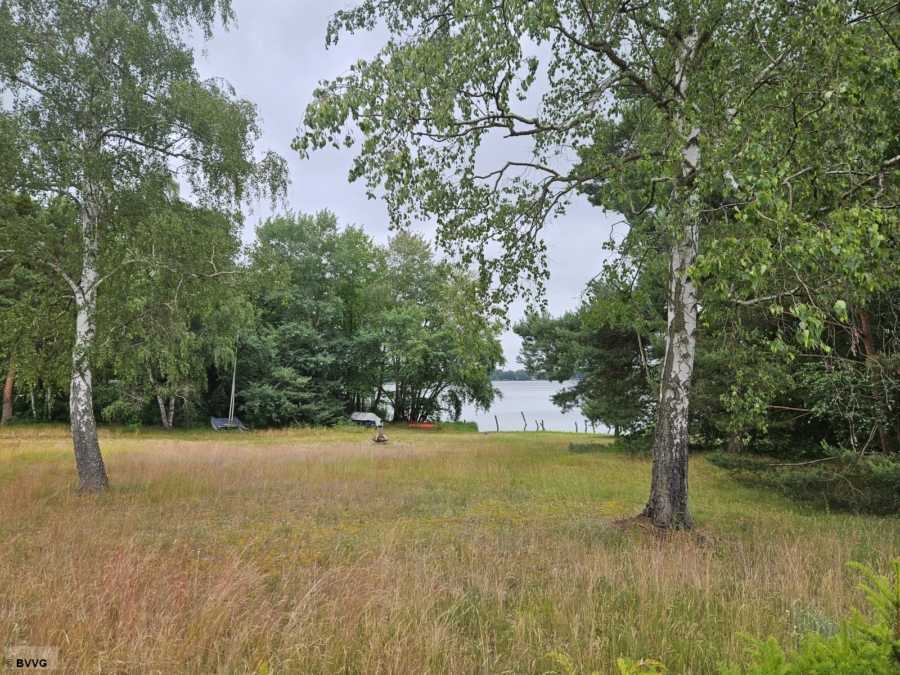 Uferfläche am Mellensee - Titelbild