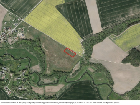 Hanstorf – Flurstück am Mummendorfer Weg, Mecklenburg-Vorpommern, Nordwestmecklenburg