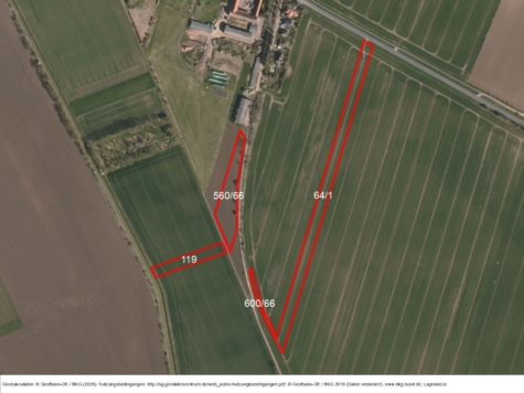 Acker bei Hornhausen, Sachsen-Anhalt, Börde
