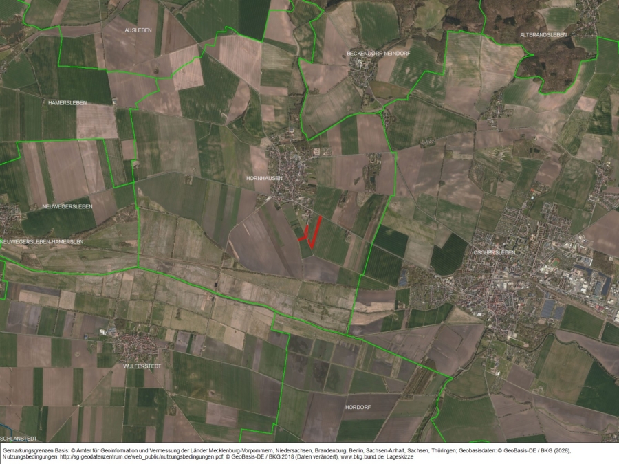 Acker bei Hornhausen - Bild