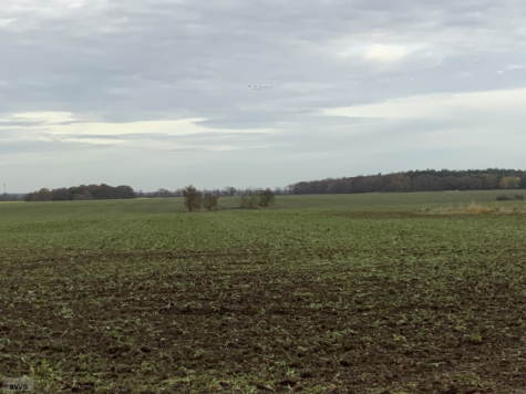 Flächen bei Beseritz, Los 2, Mecklenburg-Vorpommern, Mecklenburgische Seenplatte