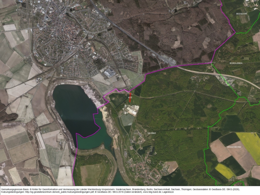 Fläche bei Harbke - Bild