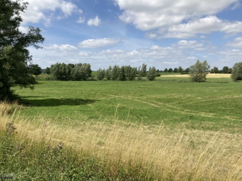 Flächen bei Lansen, Los 3, Mecklenburg-Vorpommern, Mecklenburgische Seenplatte