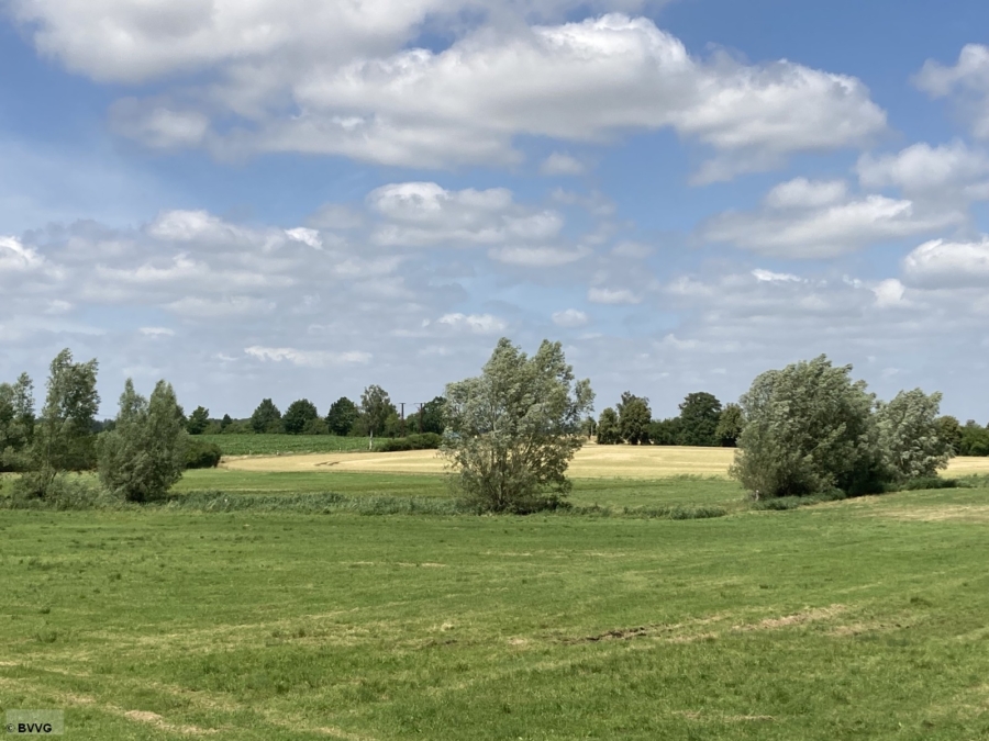 Flächen bei Lansen, Los 3 - Bild