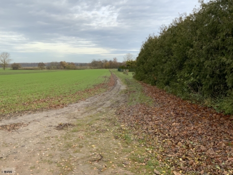 Fläche bei Beseritz, Los 3, Mecklenburg-Vorpommern, Mecklenburgische Seenplatte