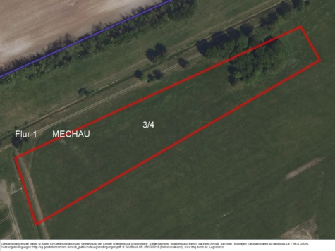 Grünland in Mechau, Sachsen-Anhalt, Altmarkkreis Salzwedel
