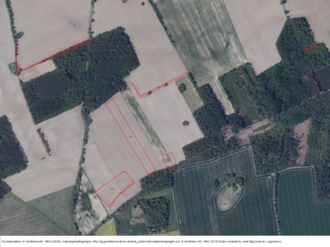 Weißflächen in Berlitt, Brandenburg, Ostprignitz-Ruppin