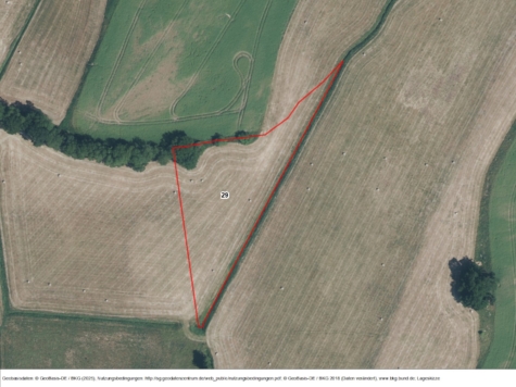 Fläche bei Bömitz, Los 1, Mecklenburg-Vorpommern, Vorpommern-Greifswald