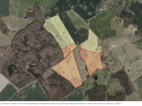 Windrechte im Vorranggebiet für WEA Klein Vielen 55, Mecklenburg-Vorpommern, Mecklenburgische Seenplatte