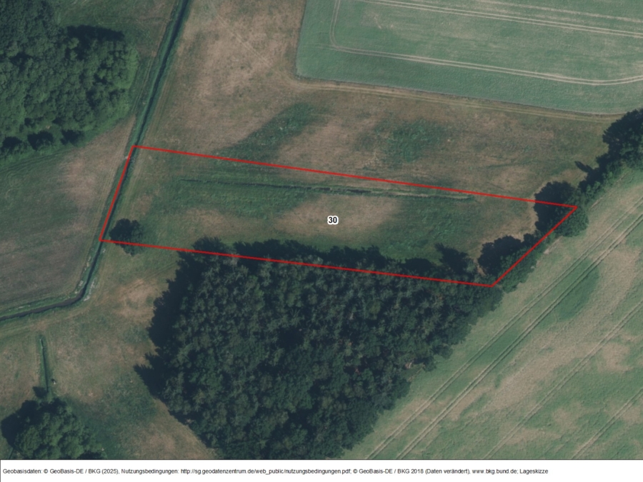 Flächen bei Bömitz, Los 4 - Bild
