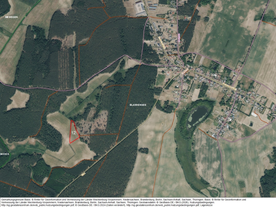 Grünland bei Blankensee - Bild