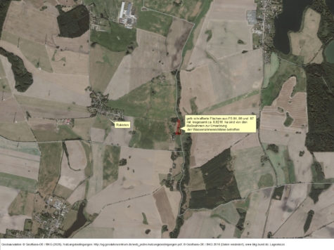 Grünland bei 18258 Rukieten, Mecklenburg-Vorpommern, Rostock-Land