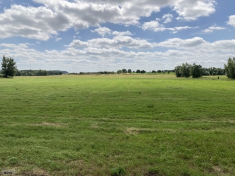 Flächen bei Lansen, Los 1, Mecklenburg-Vorpommern, Mecklenburgische Seenplatte