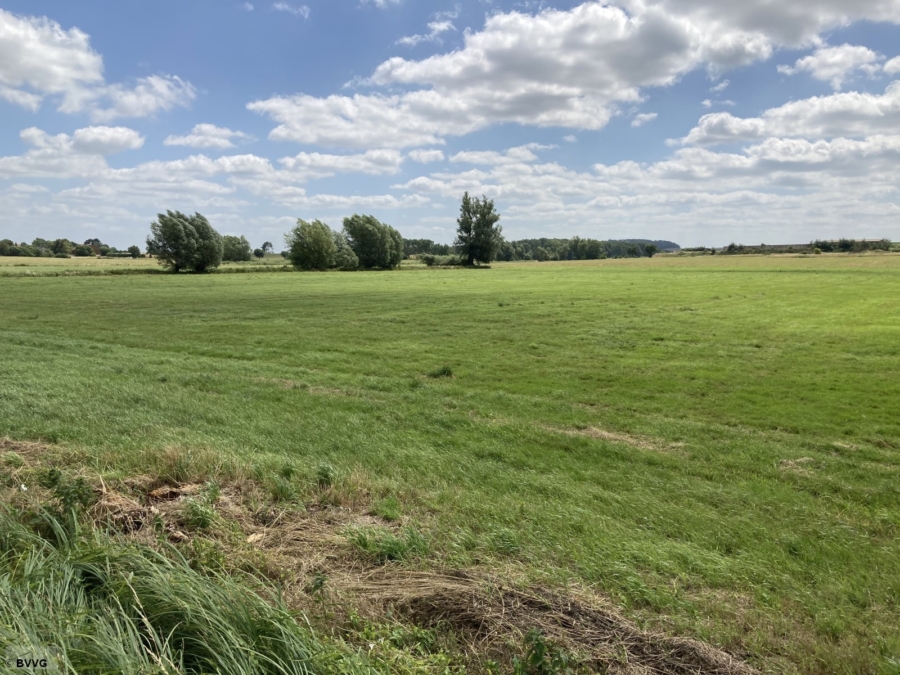 Flächen bei Lansen, Los 1 - Bild