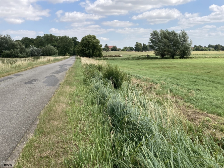 Flächen bei Lansen, Los 1 - Bild