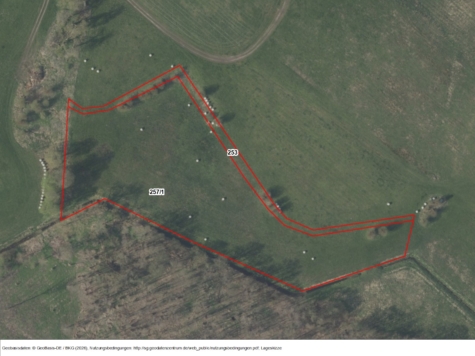 Flächen bei Galenbeck (Ritzerow), Mecklenburg-Vorpommern, Mecklenburgische Seenplatte