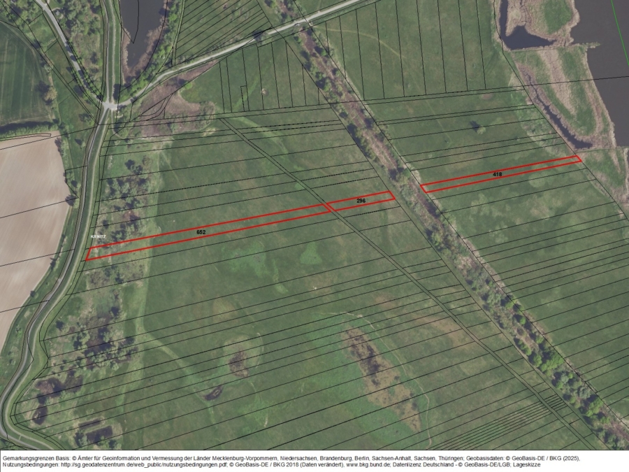 Grünland südöstlich von Kienitz, nahe der Oder - Bild