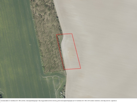 Anteilseigentum in Schwarz, Mecklenburg-Vorpommern, Mecklenburgische Seenplatte