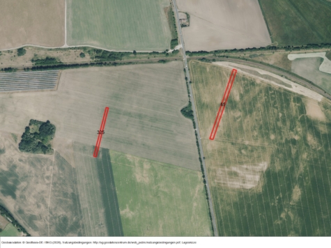 Fläche nördlich von Pasewalk II, Mecklenburg-Vorpommern, Vorpommern-Greifswald