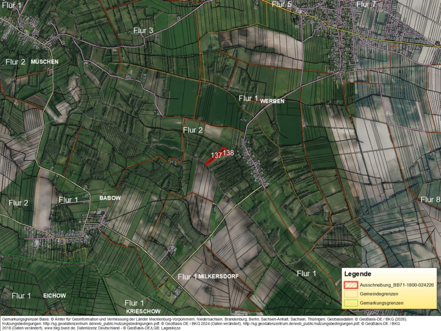 Grünlandflächen in Werben - Bild