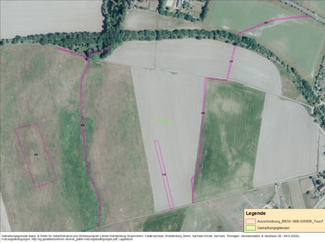Flächen in Belgern Flur 4, Sachsen, Nordsachsen