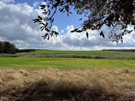 Ackerstücke bei Unter Brüz, Mecklenburg-Vorpommern, Ludwigslust-Parchim