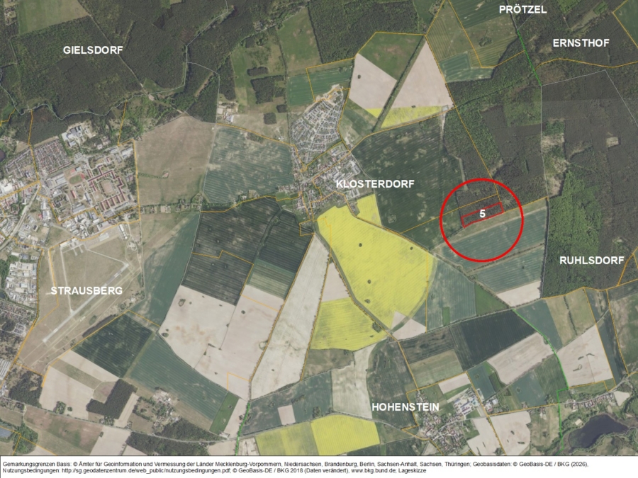 Kleinwald östlich Klosterdorf - Bild