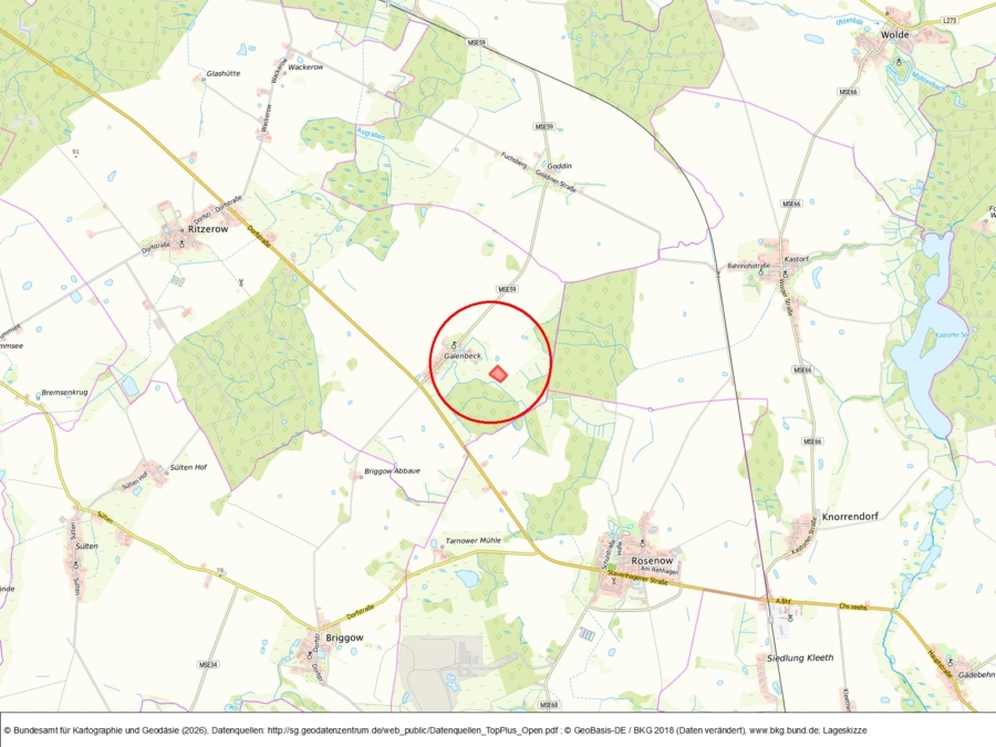 Fläche bei Galenbeck (Ritzerow) - Bild