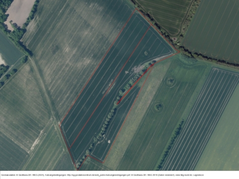 Weißfläche für Windbeplanung in Freyenstein, Brandenburg, Ostprignitz-Ruppin