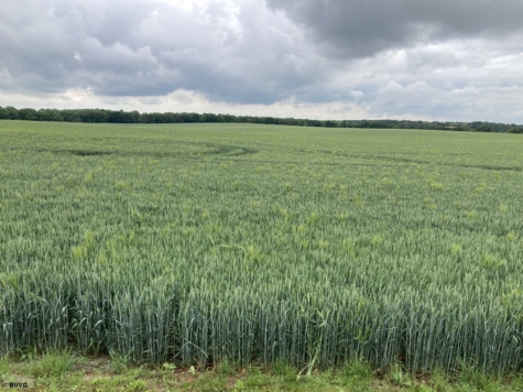 Fläche I bei Ihlenfeld, Mecklenburg-Vorpommern, Mecklenburgische Seenplatte