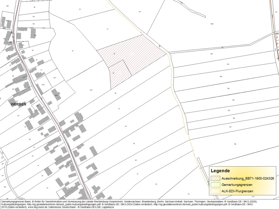 Grünland in Werben - Bild
