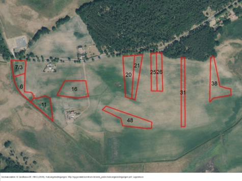 Flächen in Hammer a. d. Uecker, Mecklenburg-Vorpommern, Vorpommern-Greifswald
